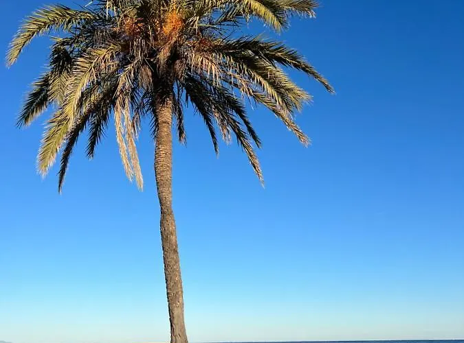 アパート Rocasol - Marina Real Ii *